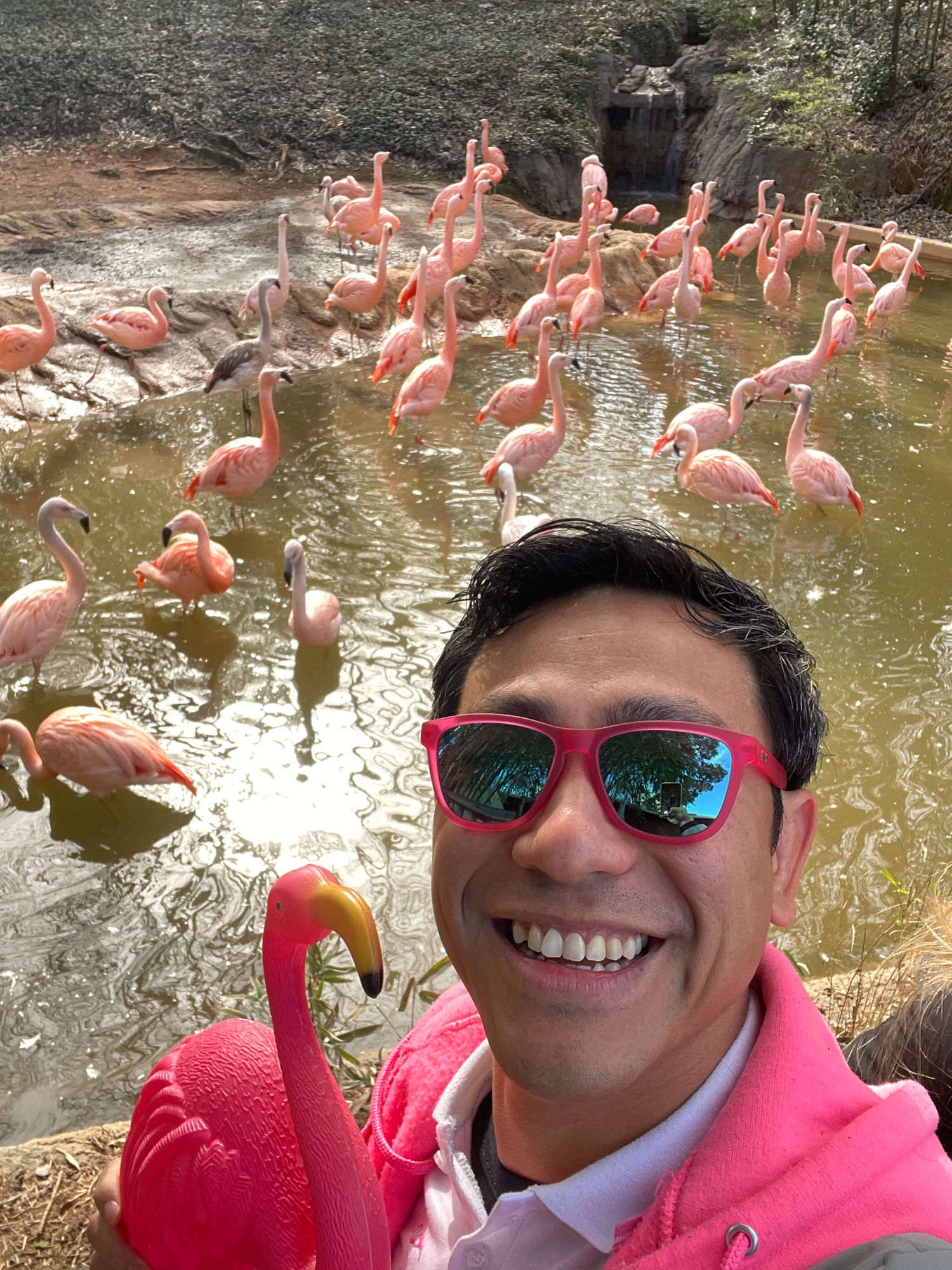 Yong Taing in pink sunglasses with a flock of flamingos